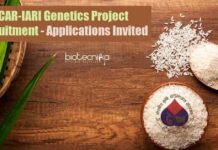 ICAR-IARI Genetics Project Recruitment – Applications Invited IARI Research Job Openings