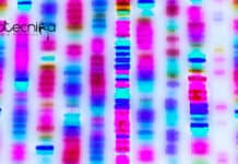 NDRI MoFPI Research Project Recruitment – Applications Invited ICAR-NDRI Jobs