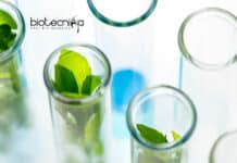 ICAR-NRCPB Recruitment – Research Associate & Fellow Vacancies ICAR-NRCPB Jobs