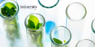 ICAR-NRCPB Jobs