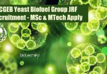 ICGEB Yeast Biofuel Group JRF Recruitment – MSc & MTech Apply ICGEB JRF Vacancy