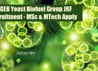ICGEB JRF Vacancy