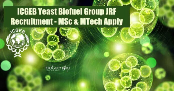 ICGEB JRF Vacancy