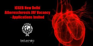 ICGEB Vacancy