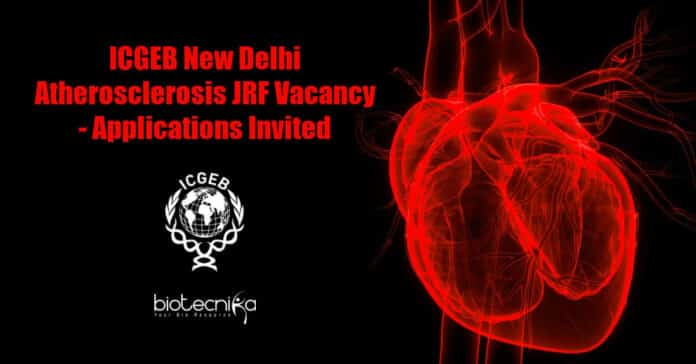 ICGEB Vacancy