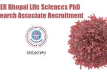 IISER Bhopal Life Sciences PhD Research Associate Recruitment IISER Bhopal PhD RA