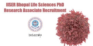 IISER Bhopal PhD RA