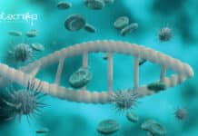 IISER Bhopal Life Science / Immunology Research Fellow Job IISER Bhopal SRF Vacancy