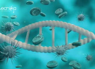 IISER Bhopal Life Science / Immunology Research Fellow Job IISER Bhopal SRF Vacancy