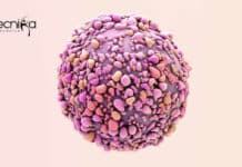 IISER Kolkata Project Associate Breast Cancer Treatment Project Recruitment IISER Kolkata Vacancy Project