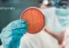 IIT Kanpur Antibiotic Resistance Project Recruitment – Assistant Vacancy IIT Kanpur Assistant Job