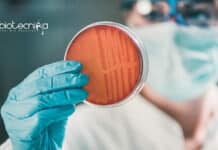 IIT Kanpur Antibiotic Resistance Project Recruitment – Assistant Vacancy IIT Kanpur Assistant Job