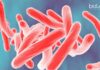Immunomodulatory Therapy for Tuberculosis Project JRF at IIT Kharagpur IIT Kharagpur Project JRF