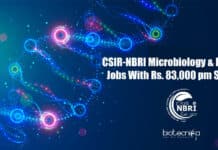 CSIR-NBRI Microbiology & Botany Jobs With Rs. 83,000 pm Salary NBRI Technical Officer Jobs