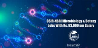 NBRI Technical Officer Jobs