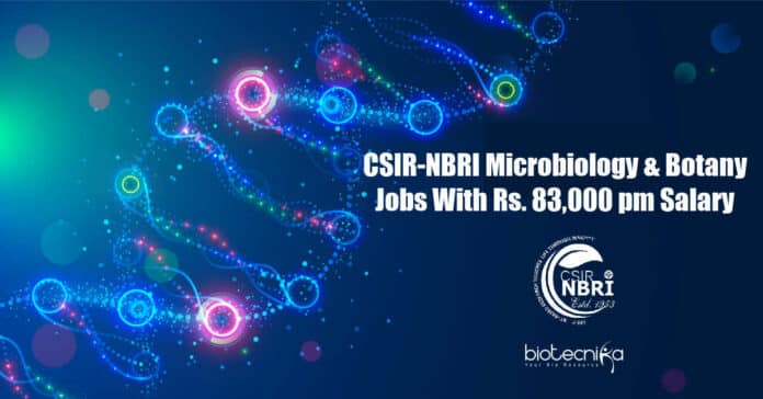 NBRI Technical Officer Jobs
