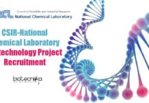 NCL Pune Project Job