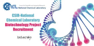 NCL Pune Project Job