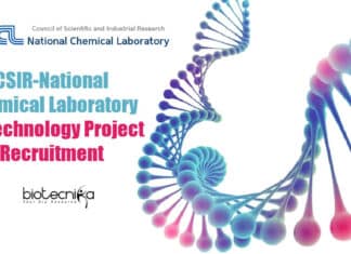 NCL Pune Project Job