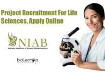NIAB Project Associate Jobs