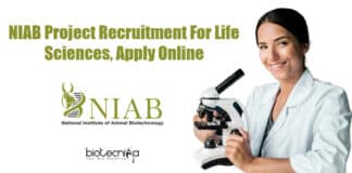 NIAB Project Associate Jobs