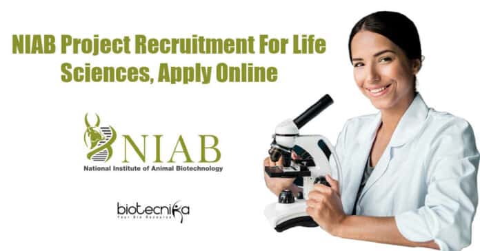 NIAB Project Associate Jobs
