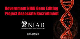 NIAB Project Job Opening