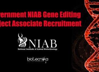 NIAB Project Job Opening