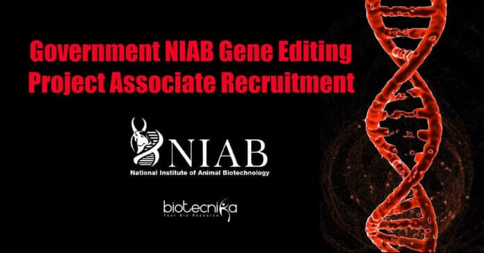 NIAB Project Job Opening