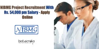 NIBMG Project Jobs