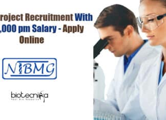 NIBMG Project Jobs