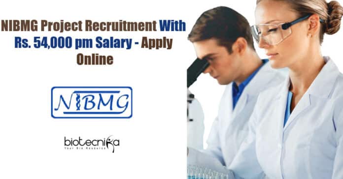 NIBMG Project Jobs