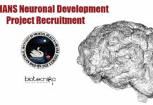 NIMHANS Neuronal Development Project Recruitment NIMHANS Project Job Opening