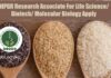 NIPGR Research Associate For Life Science/ Biotech/ Molecular Biology Apply NIPGR Research Associate