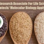 NIPGR Research Associate