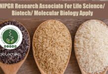 NIPGR Research Associate For Life Science/ Biotech/ Molecular Biology Apply NIPGR Research Associate