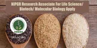 NIPGR Research Associate