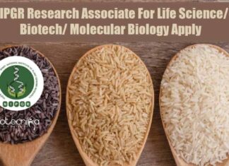 NIPGR Research Associate