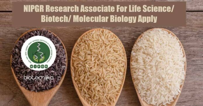 NIPGR Research Associate