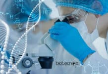 NIT Warangal Biotechnology Junior Research Fellow Job NIT Warangal Vacancy
