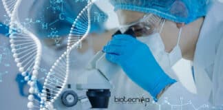 NIT Warangal Vacancy