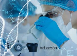 NIT Warangal Vacancy