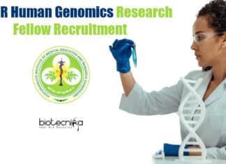 PGIMER Project Associate Jobs
