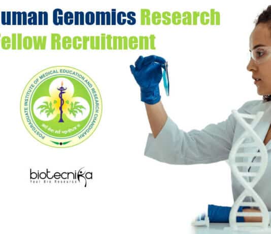 PGIMER Project Associate Jobs