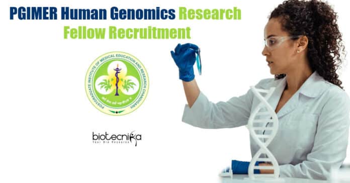 PGIMER Project Associate Jobs