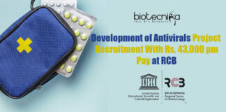 Project Associate Jobs RCB