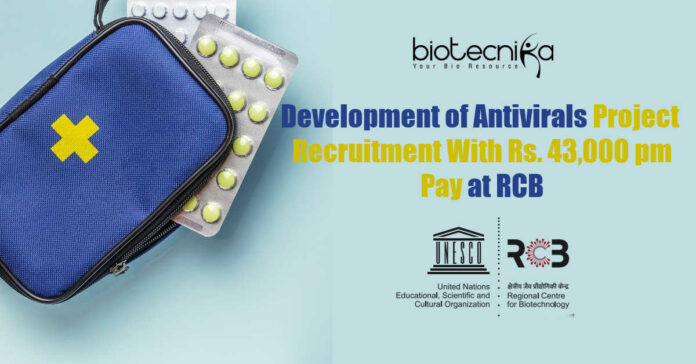 Project Associate Jobs RCB