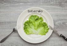 Project-JRF Opening at RCB Faridabad – Online Application Process RCB JRF Job