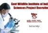 Govt Wildlife Institute of India Life Sciences Project Recruitment WII Life Science