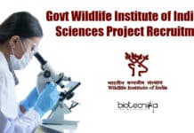 Govt Wildlife Institute of India Life Sciences Project Recruitment WII Life Science
